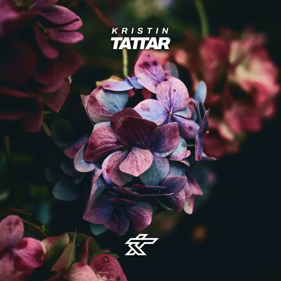 Kristin Tattar Image