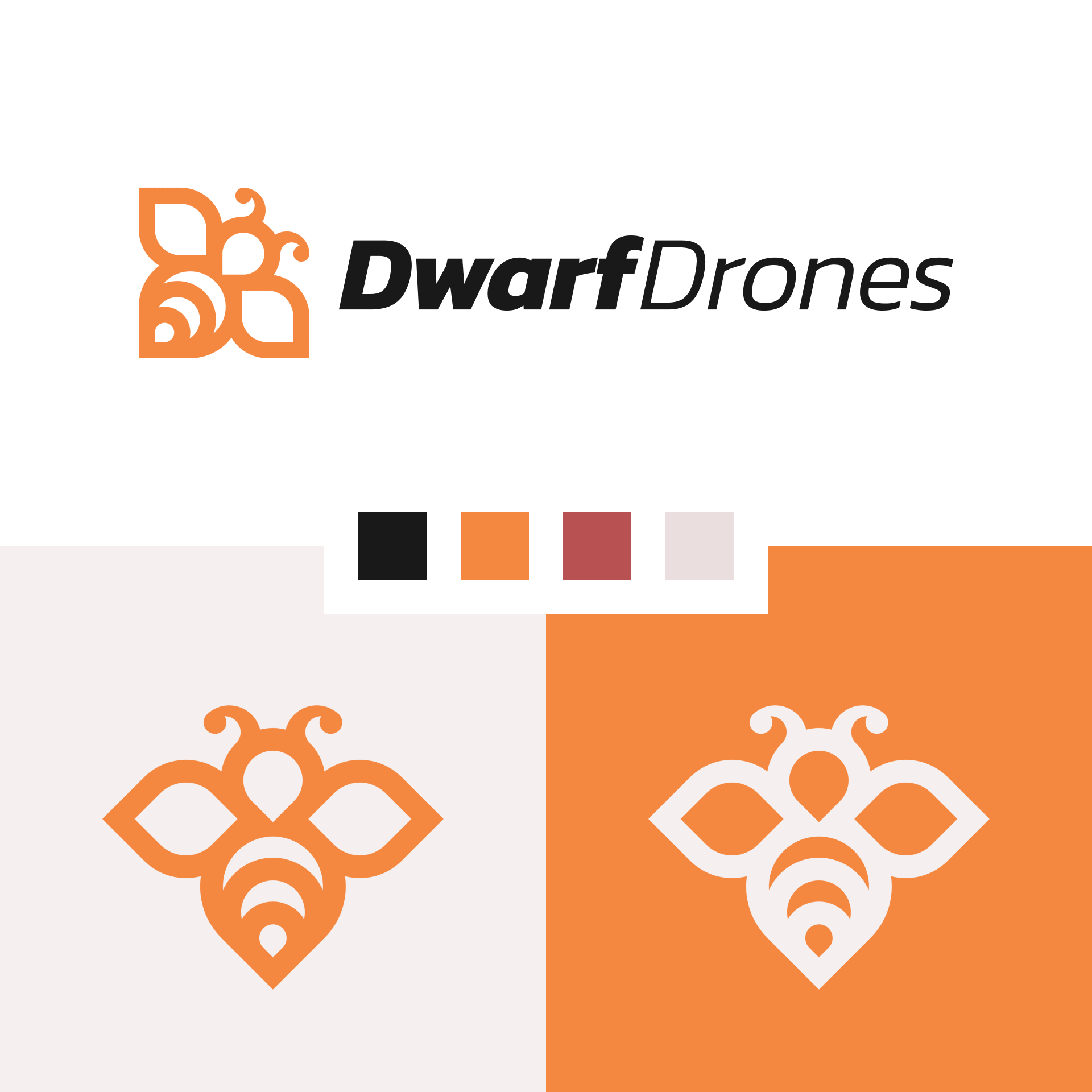 Dwarf Drones Branding