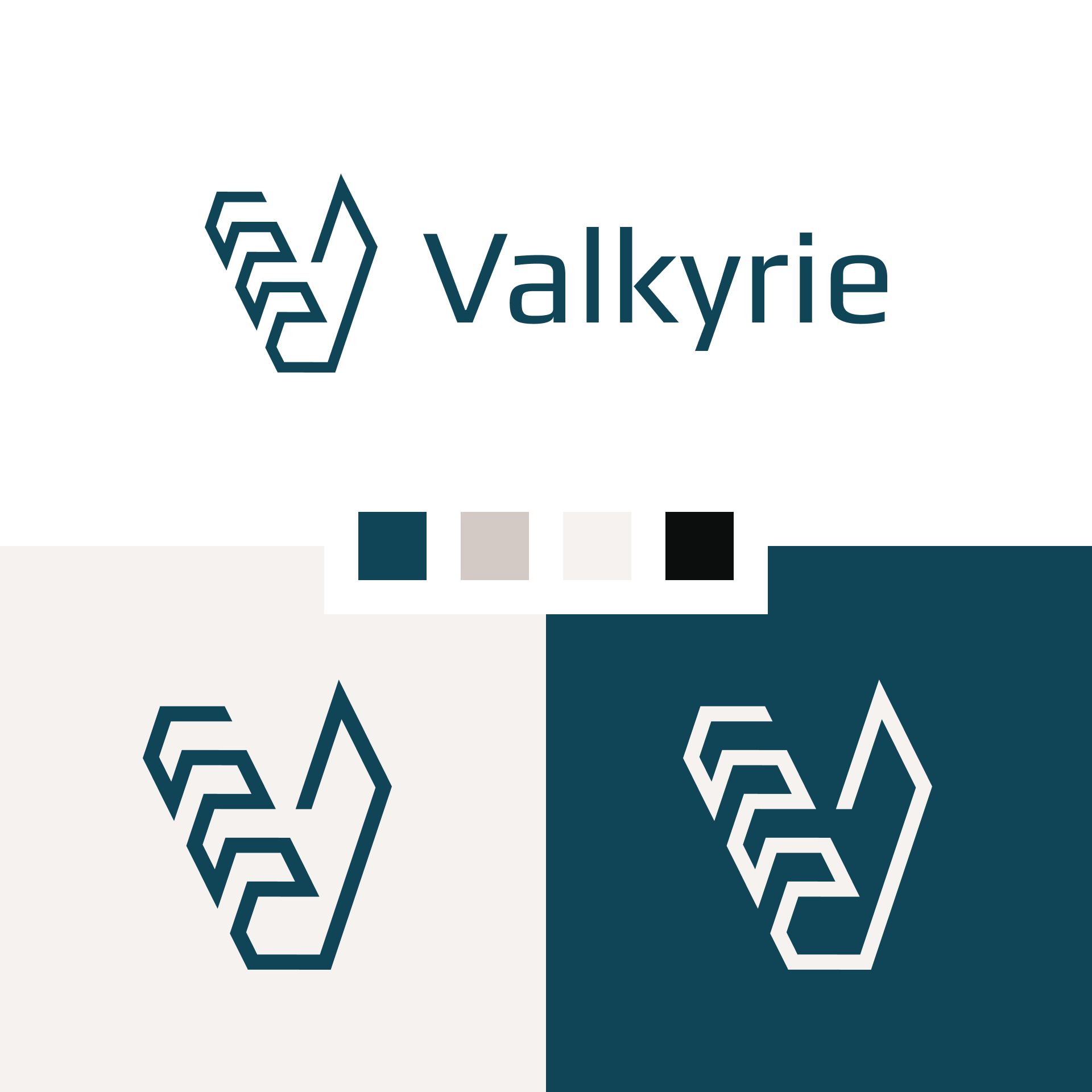 Valkyrie Branding